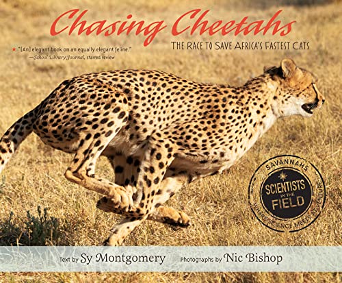Chasing Cheetahs (Scientists in the Field)
