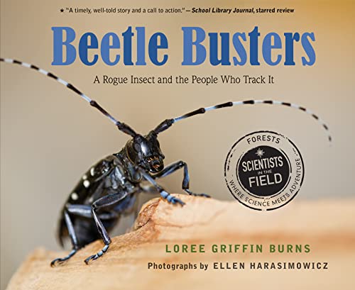 Beetle Busters: A Rogue Insect and the People Who Track It (Scientists in the Field)