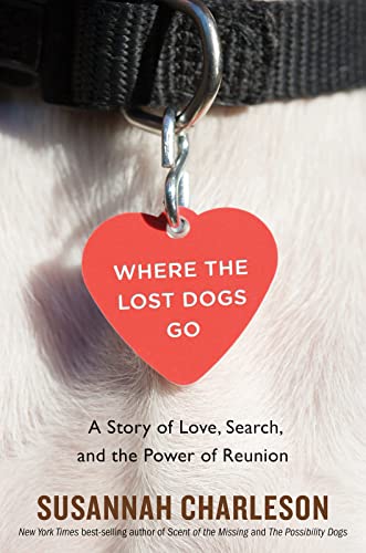 Where The Lost Dogs Go
