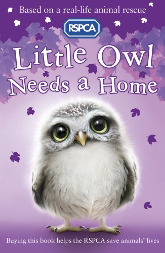 Little Owl Needs a Home (RSPCA)