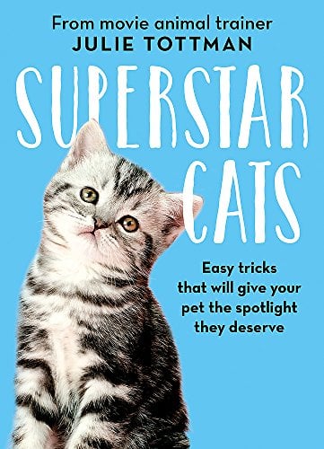 Superstar Cats: Easy Tricks That Will Give Your Pet the Spotlight They Deserve