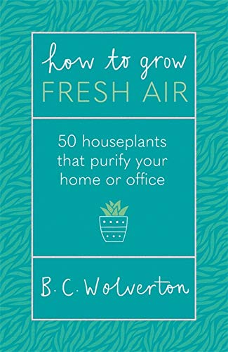 How To Grow Fresh Air: 50 Houseplants That Purify Your Home or Office