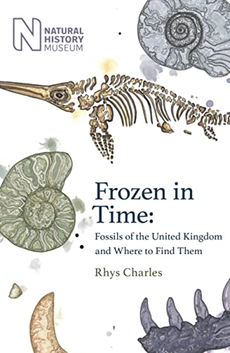 Frozen in Time: Fossils of the United Kingdom and Where to Find Them