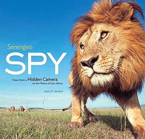 Serengeti Spy: Views from a Hidden Camera on the Plains of East Africa
