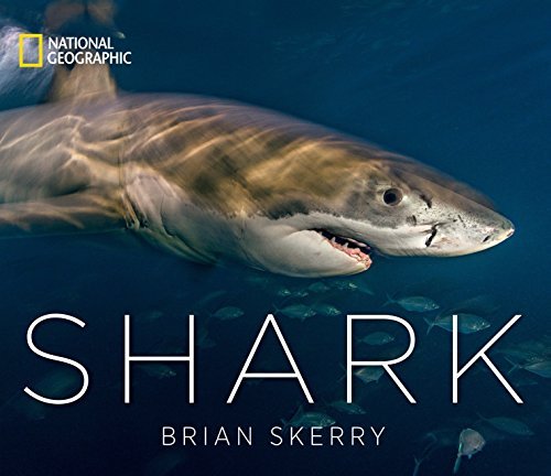 Shark (National Geographic)