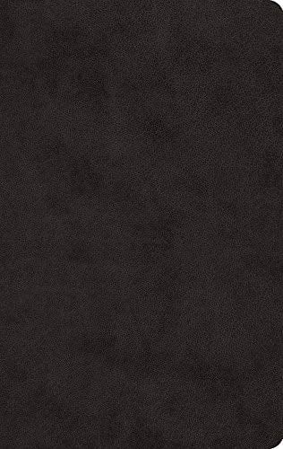 ESV Large Print Value Thinline Bible (TruTone Black)