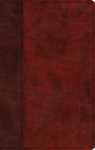 ESV Holy Bible Large Print Thinline (TruTone, Burgundy/Red, Timeless Design)