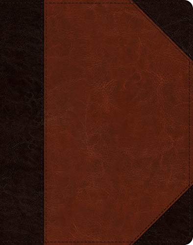 ESV Single Column Journaling Bible (TruTone, Brown/Cordovan, Portfolio Design)