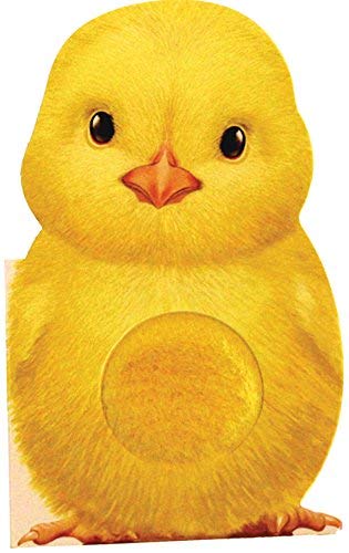 Furry Chick (Mini Friends Touch & Feel)