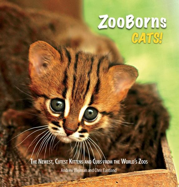 ZooBorns Cats!