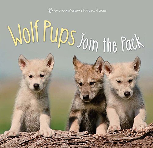 Wolf Pups Join the Pack (First Discoveries)