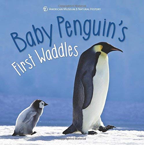 Baby Penguin's First Waddles (First Discoveries)