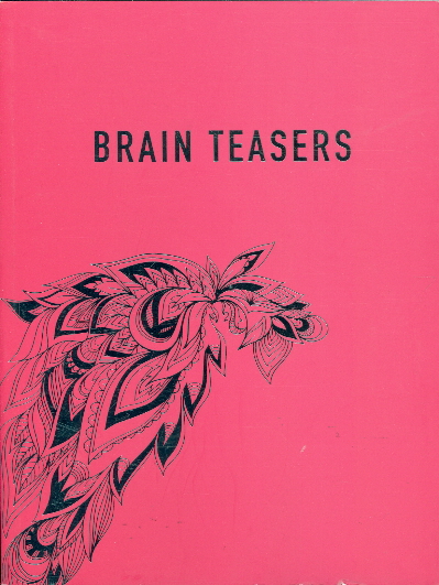 Brain Teasers (Barnes & Noble Edition)