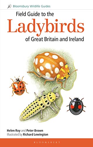 Field Guide to the Ladybirds of Great Britain and Ireland (Bloomsbury Wildlife Guide)