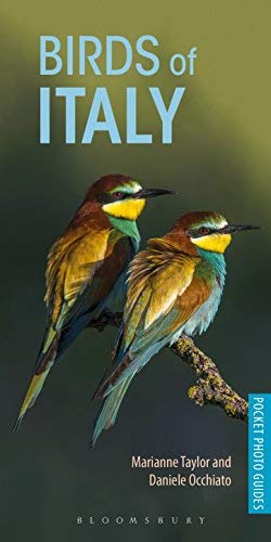 Birds of Italy (Pocket Photo Guides)