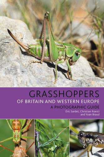Grasshoppers of Britain and Western Europe: A Photographic Guide