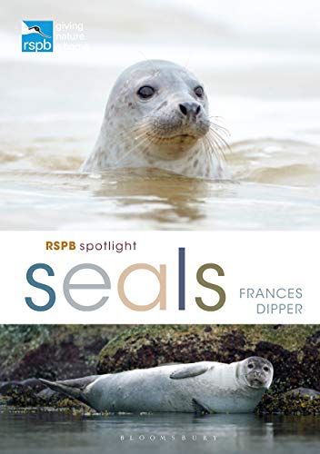 Seals (RSPB Spotlight)