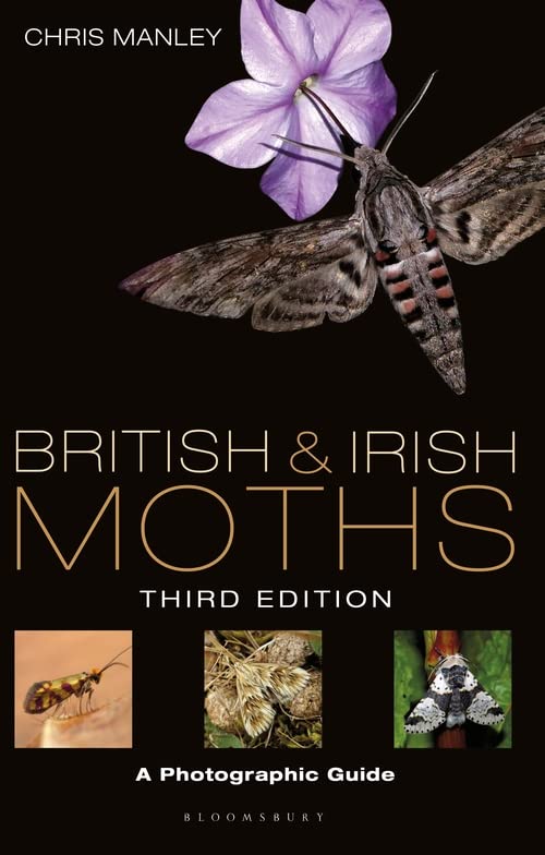 British and Irish Moths: A Photographic Guide (3rd Edition)