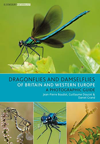 Dragonflies and Damselflies of Britain and Western Europe: A Photographic Guide