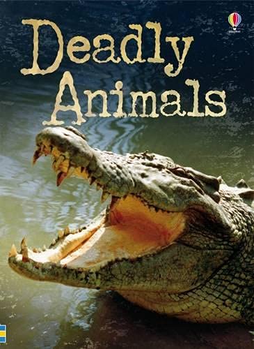 Deadly Animals (Beginners Plus Series)