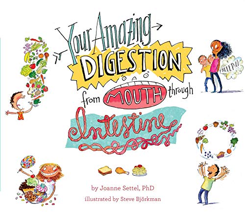 Your Amazing Digestion from Mouth through Intestine (Your Amazing Body Books)