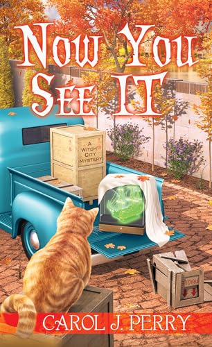 Now You See It (Witch City Mystery, Bk. 13)