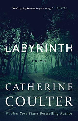 Labyrinth (An FBI Thriller, Bk. 23)