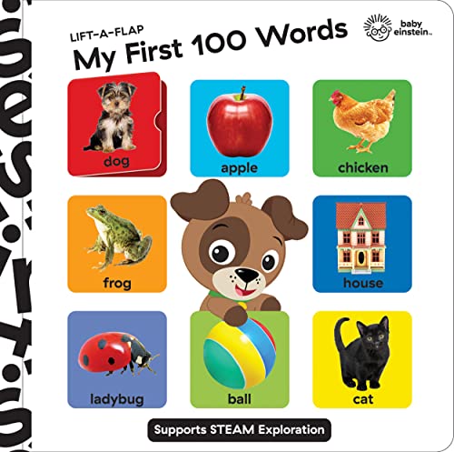 Lift-A-Flap: My First 100 Words (Baby Einstein)