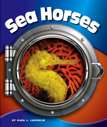 Sea Horses (In the Deep Blue Sea)