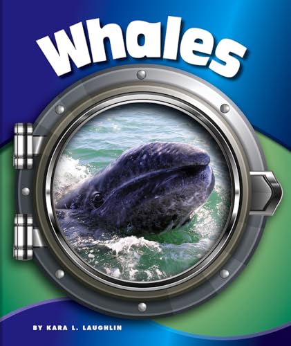 Whales (In the Deep Blue Sea)