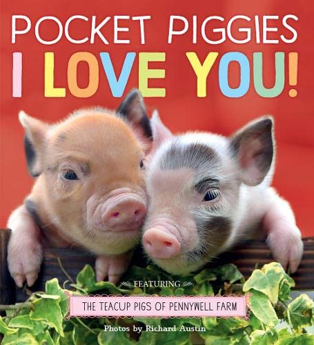 Pocket Piggies: I Love You! (Teacup Pigs of Pennywell Farm)