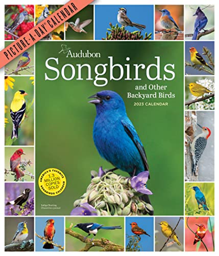 Audubon Songbirds and Other Backyard Birds 2023 Picture-A-Day Wall Calendar