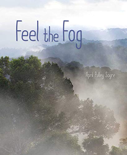 Feel the Fog (Weather Walks)