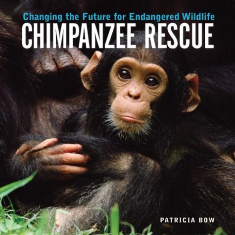 Chimpanzee Rescue: Changing The Future For Endangered Wildlife