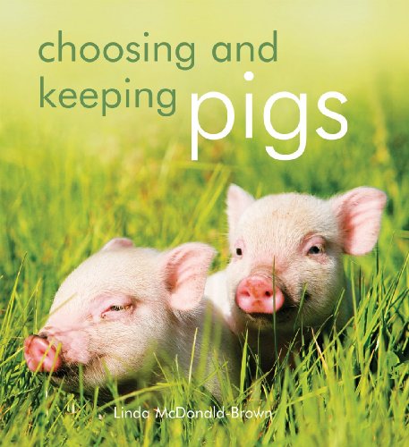 Choosing And Keeping Pigs