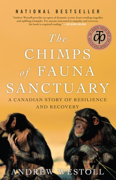 The Chimps of Fauna Sanctuary