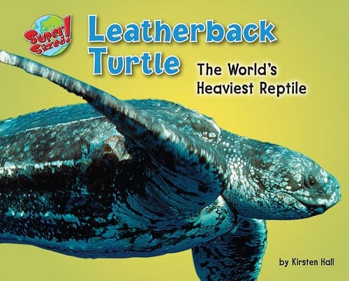 Leatherback Turtle: The World's Heaviest Reptile (Super Sized!)