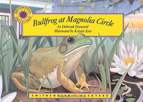 Bullfrog at Magnolia Circle (Smithsonian Backyard)