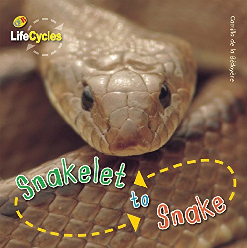 Snakelet to Snake (LifeCycles)