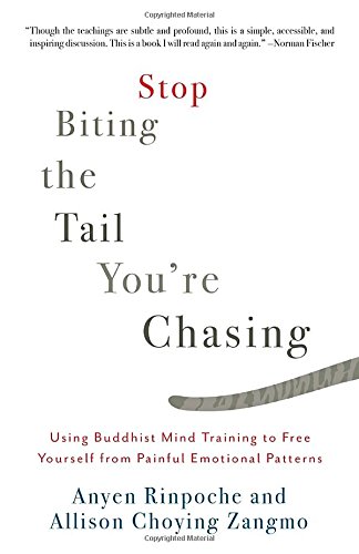Stop Biting the Tail You're Chasing: Using Buddhist Mind Training to Free Yourself from Painful Emotional Patterns