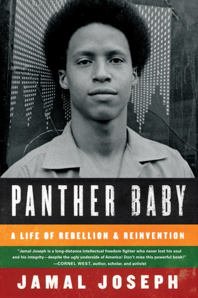 Panther Baby: A Life of Rebellion and Reinvention