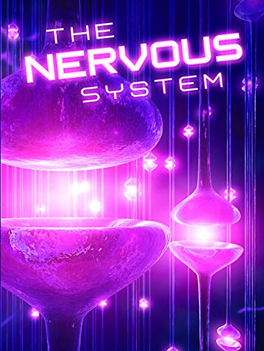 The Nervous System (Let's Explore Science)