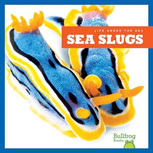 Sea Slugs (Bullfrog Books, Life Under the Sea)