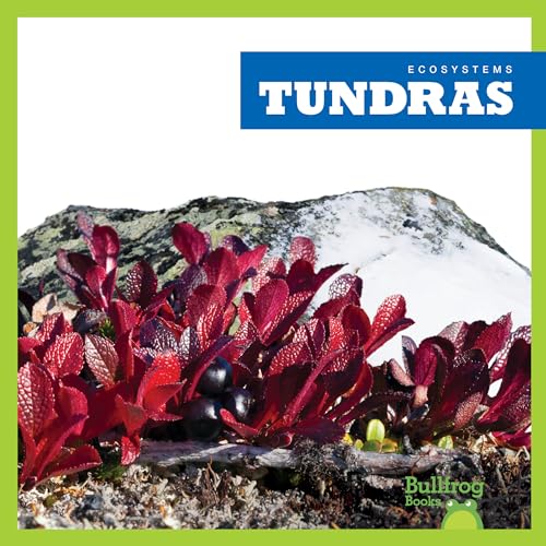 Tundras (Bullfrog Books, Ecosystems)