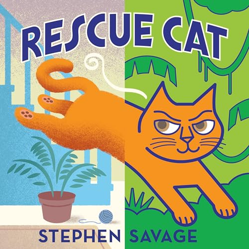 Rescue Cat