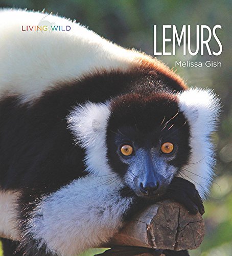 Lemurs (Living Wild)