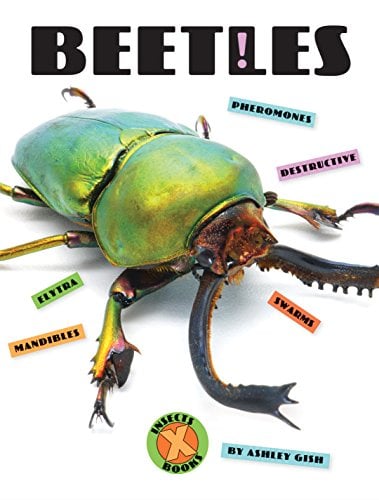 Beetles (X-Books: Insects)