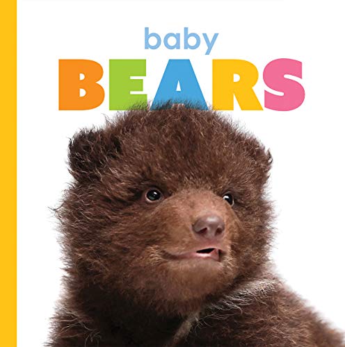 Baby Bears (Starting Out)
