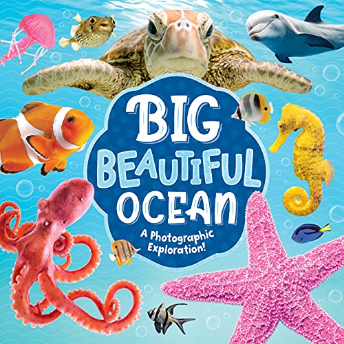 Big Beautiful Ocean: A Photographic Exploration!