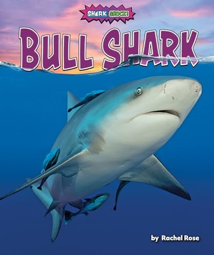 Bull Shark (Shark Shock!)
